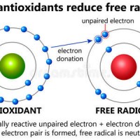 镧,铈,钇,铽离子对人红细胞膜自由基氧化的影响